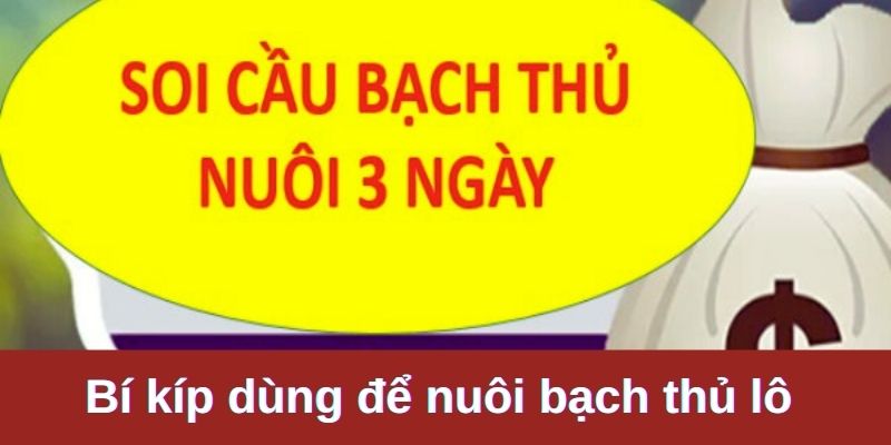 Bạch thủ lô khung 3 ngày