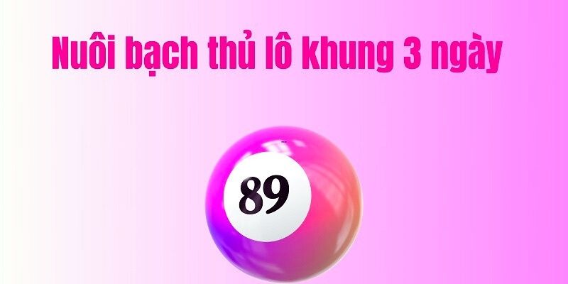 Bạch thủ lô khung 3 ngày