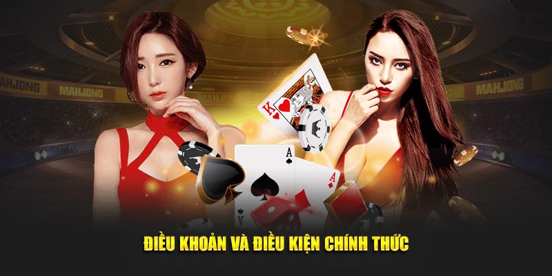 Điều khoản và điều kiện